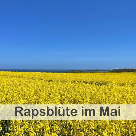 Im Gutshaus, Entschleunigung Pur Fuer Erholsame Tage Lägenhet Hohen Wieschendorf